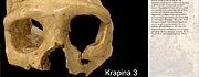Virtualni Muzej krapinskih neandertalaca